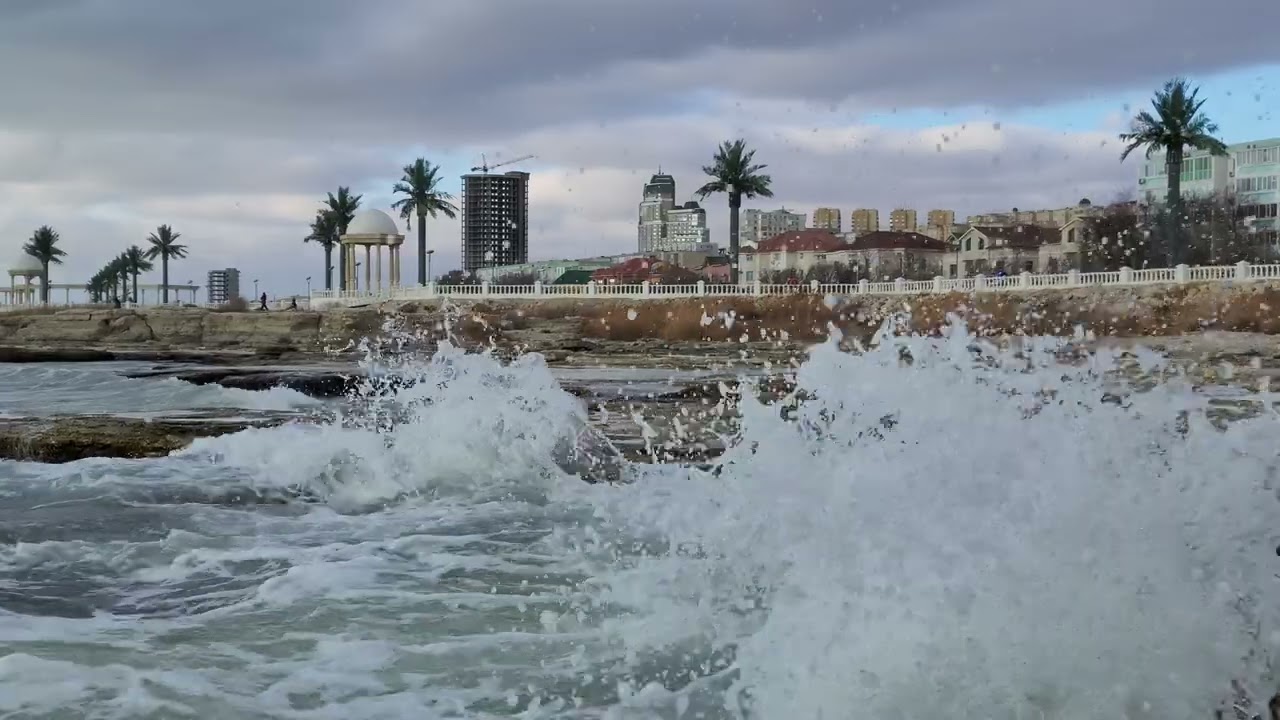 Море 2022 Море 2022